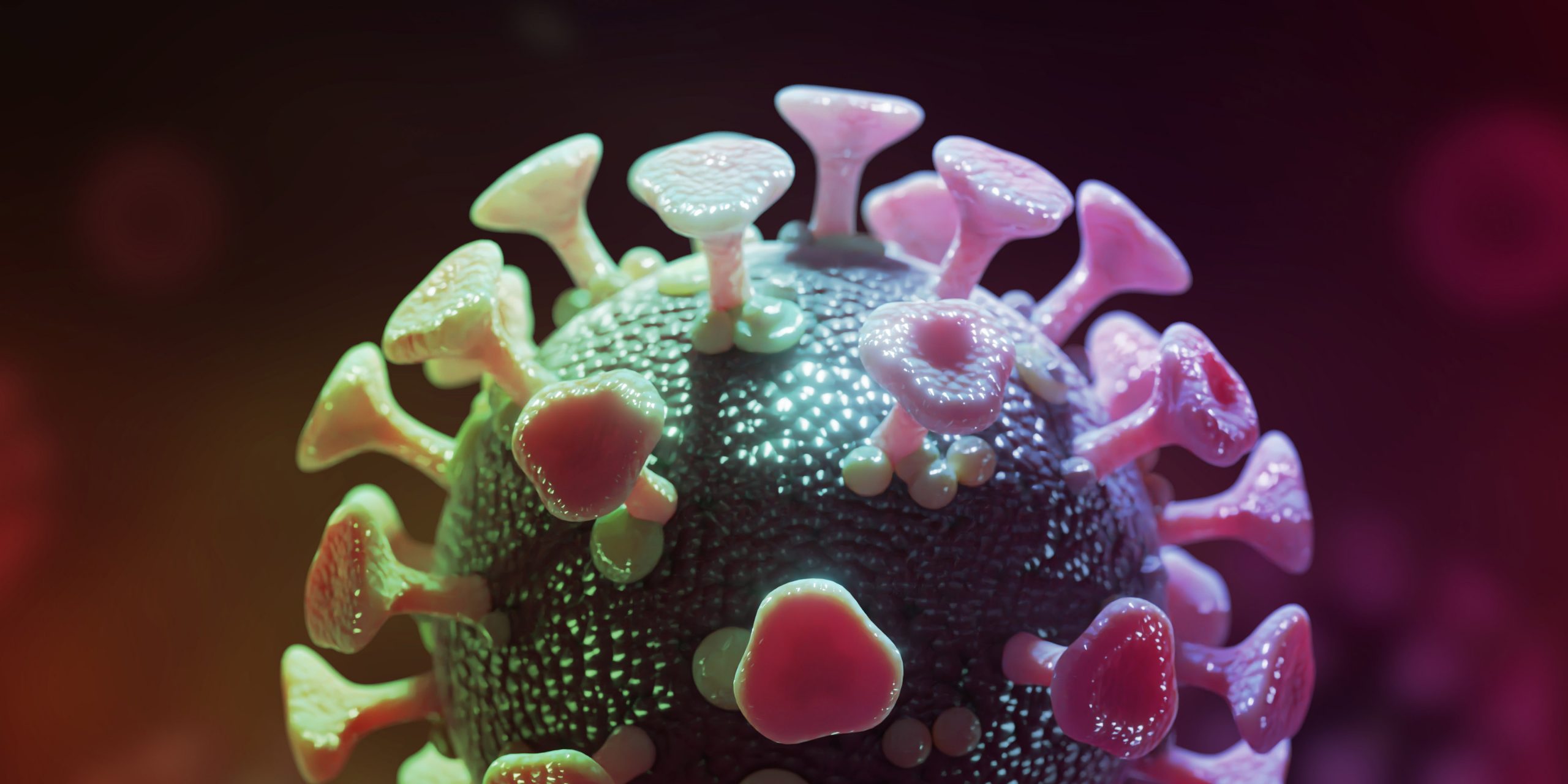 Coronavirus: Sexuelle Minderheiten besonders anfällig für Ansteckung